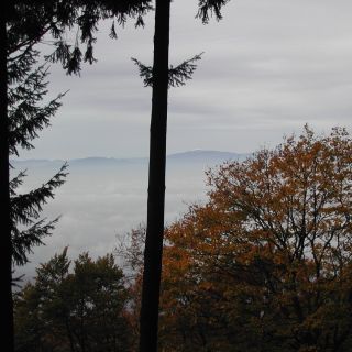 Loading...