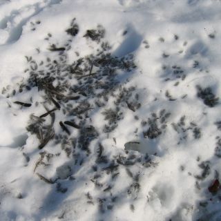 Loading...