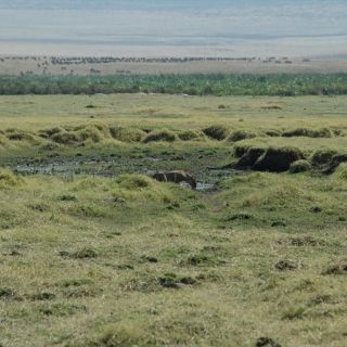 Loading...