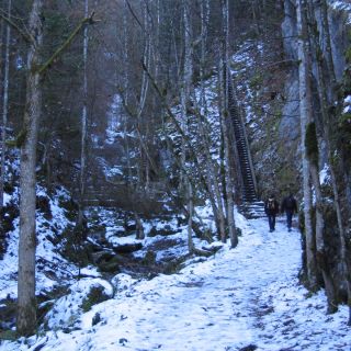 Loading...