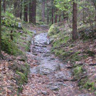 Loading...