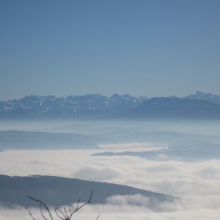 Loading...