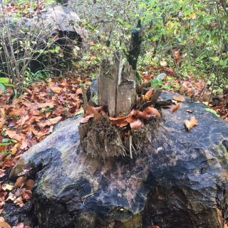 Loading...