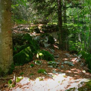 Loading...