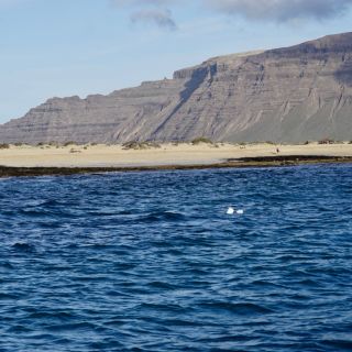 Loading...