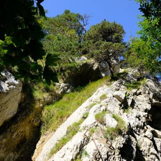 Loading...