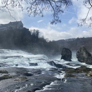 Loading...
