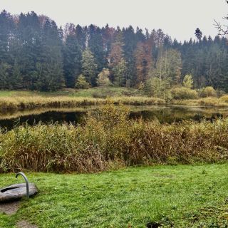 Loading...